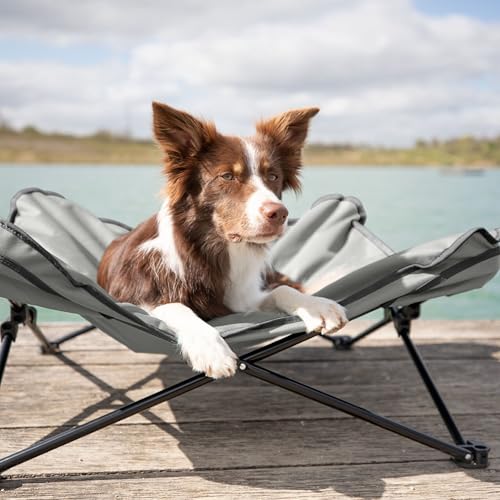 TRIXIE Camping Cot for Medium Dogs, Elevated Pet Travel Bed 34.6" x 34.6", Support Breeds up to 80 lbs, Portable Steel Frame Lounger with Cushioned Removable Topper, Foldable Design - size: Medium