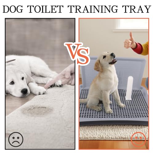 Indoor Dog Potty Tray with Splash Guard, 20"x15.5"x1.4" Pee Pad Holder for Puppies & Small Dogs, Waterproof Easy-Clean Dog Toilet Training Tray (Gray)