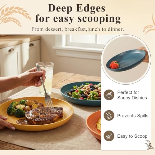 Wheat Straw Plates Set for 8, Unbreakable & Lightweight Dinner Plate 10 Inch, Plastic Plates Reusable, Microwave and Dishwasher Safe Kitchen Plate for Outdoor, Camping, Picnic- Multi - color: Multicolor, size: 10 Inch