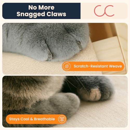CallieCo Wooden Cat Hammock Bed, Modern Elevated Pet Lounger with Premium Wooden Frame & Breathable Fabric, Stylish Indoor & Outdoor Cat Bed for Cats & Small Dogs - Ivory - color: Ivory