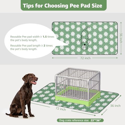 LOOBANI Washable Puppy Pads: Waterproof Reusable Pee Pads for Dogs, Non-Slip and Leak-Proof Dog Pee Mat, Absorbent Dog Training Pads for Puppy Playpen, Crate, Potty Training (36"x72", 2 Packs) - color: Green Daisy, size: 36"x72"(Pack of 2)