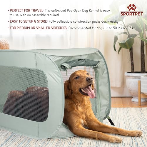 SportPet Designs Soft Sided Pop-Open Kennels, Light Green - color: Light Green