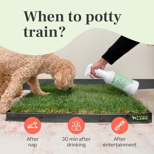 DoggieLawn Potty Training Aid Spray | Attractive Scent Helps Train Dogs Where to Potty | Formulated for Indoor & Outdoor Use | Made in USA - 32 oz