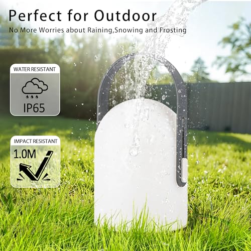 TRIROCKS Battery Operated Portable Lamp Cordless Dimmable Table Light Night Light with 4000mAh Battery and Remote Control for Bedroom Outdoor Indoor Home Decor Camping