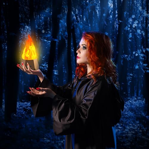 Ollcuz LED Flame Lights, Rechargeable Battery Flameless Candles, Fake Fire with Flickering Flame, LED Night Light for Kids Bedroom Outdoor Camping Party Bar Table Christmas Decorations, 2 Pack - size: 2PCS