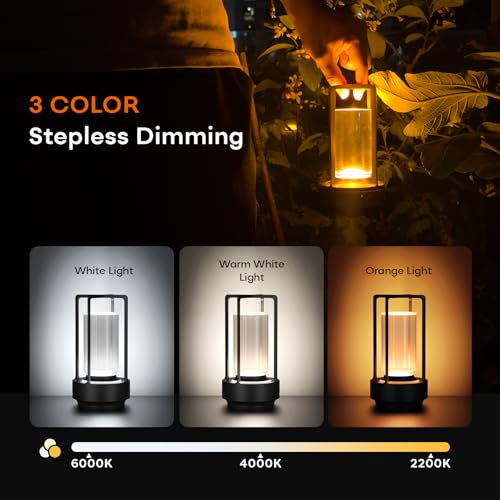 Portable Metal Table Lamp for Indoor/Outdoor ,Rechargeable Cordless LED Lamp, 3-Colour Infinitely Dimming Battery Powered Small Desk Lamp, Restaurant/Bedroom/Bar/Coffee Shop/Camping Light (Black) - color: Black