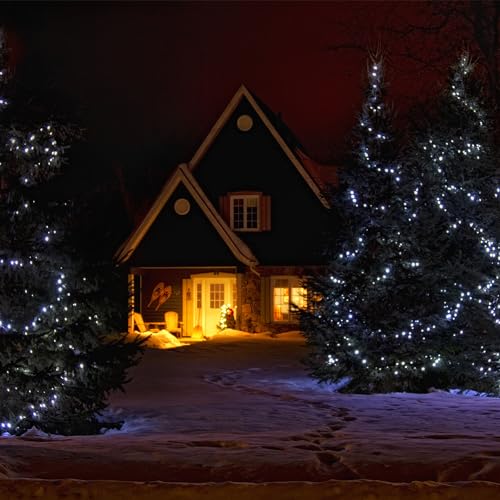 Solar String Lights for Outside, 39Ft 100 LED Solar String Lights Outdoor with 8 Modes Solar Lights for Outside Waterproof for Yard, Fence,Balcony, Party,Christmas Tree Decorations (Cold White) - color: Cold White, size: 1 Pack 100 LED