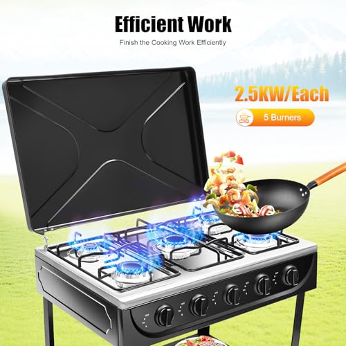 5 Burner Gas Stove with Wind Shield Portable 2.5KW Natural Gas Stove with 2 Storage Shelves for RV Apartment Outdoor Cooking - style: 5 Burner-Black