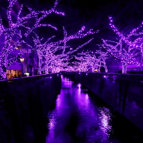 Selarlyt 2-Pack 200 LED Solar Fairy Lights Outdoor, Upgraded Oversize Lamp Beads & Super Bright Solar String Lights Outoor, 8 Modes Solar Lights for Garden Patio Decorations(Purple) - color: Purple