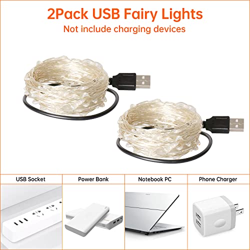 Blingstar USB Powered Fairy Lights, 2 Pack 33Ft 100 LED, Flexible Silver Wire, Mini String Lights for Halloween/Christmas Tree/Stage/Party/Holiday Indoor Decoration, Orange - color: Orange