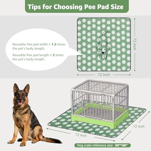 LOOBANI Extra Large Washable Puppy Pads: Non-Slip Pet Whelping Pad, Fast Absorbent Reusable Pee Pads for Dogs, Waterproof and Leakproof Dog Playpen Mat for Incontinence, Floor (72"x72",1 Pack) - color: Green Daisy, size: 72"x72"(Pack of 1)