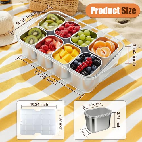 Snackle Box Container with Ice Pack, 304 Stainless Steel Divided Serving Tray, Snacklebox with Insulated Bag, 8 Compartment Platter Box with Lid and Handle for Beach, Road Trip, Boat Days, Pool Party - color: Silver White