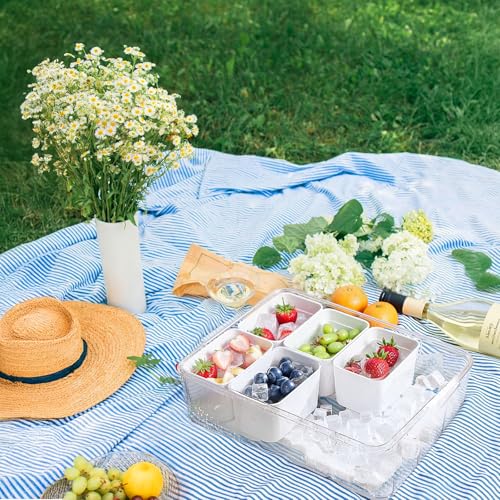 Portable Snackle Box Container with Ice Pack,Snack Container Divided Serving Tray Insulated Bag, Cooling Travel Snacklebox with Lid & Handle,8 Compartment Chilled Serving Tray for Beach,Outdoor,Picnic - color: White