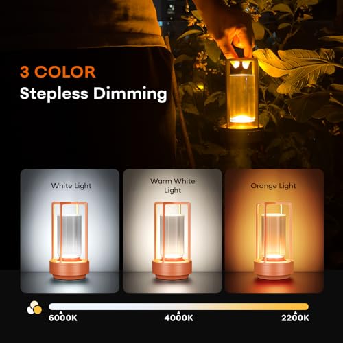 Portable Metal Table Lamp for Indoor/Outdoor ,Rechargeable Cordless LED Lamp, 3-Colour Infinitely Dimming Battery Powered Small Desk Lamp, Restaurant/Bedroom/Bar/Coffee Shop/Camping Light (Orange) - color: Orange