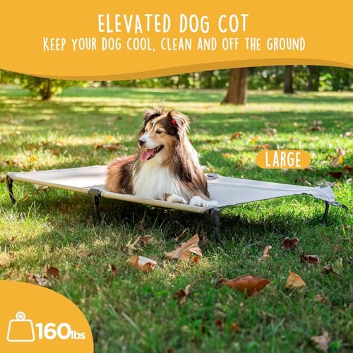 CANINE CANYON Daisy Cot, Large Foldable Elevated Dog Bed, Portable Raised Outdoor Folding Dog Cot, Cooling, Chew Proof, Waterproof, Heavy Duty Up to 160 Lbs for Camping/Home, Brown, 43"x27"x7” - color: Brown, size: Large