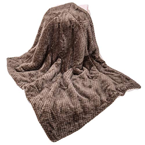 DW-Eagle Grey Plush Fleece Receiving Blanket for Dog, Cat, Couch, Travel & Outdoor, Camping (24" x 32") - color: Dw-eagle Grey, size: Blanket (24" x 32")