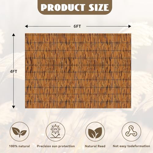 KOIUEYW Natural Reed Fencing Rolls, Decorative Bamboo Fencing 4ft High Roll Reed Screen Curtain, Light Russet - color: Light Russet, size: 4 X 6 Ft