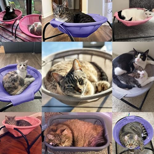 JUNSPOW Cat Bed Dog Bed Pet Hammock Bed Cat Sleeping Cat Supplies Pet Supplies Whole Wash Stable, Detachable & Breathable, Easy Assembly Indoors Outdoors, 16.9 in x 16.9 in x 9.5 in - color: Purple, size: 16.9"L x 16.9"W x 9.5"Th (Mesh)