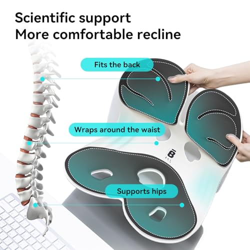 BKT Seat Cushion Chair Ergonomic Office Chair Cushions Lumbar Support for Seat Pillow Ideal for Students Office Workers Nursing Mothers Long Sitting Outdoor Fishing Floor (L-Black) - color: L-black