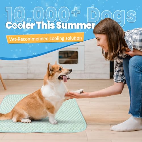 Mora Pets Dog Cooling Mat Instant Self Cooling Pad for Dogs & Cats Breathable Washable Summer Pet Cool Mat Indoor Outdoor, Puppy Cold Blanket for Floor Crate Car Travel Use Medium 36'' x 27'' Green - color: Light Green, size: 36'' x 24'' (Medium)