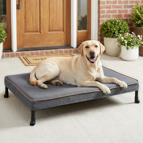 Veehoo Chew Proof Elevated Dog Bed, Indestructible Raised Dog Bed with Exclusive Cover, Washable Orthopedic Padded Pet Cot for Indoor & Outdoor, Large Dog Bed 41" x 27", Dark Grey - size: Large