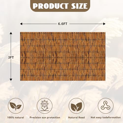 KOIUEYW Bamboo Reed Fencing, Light Russet Bamboo Screens Outdoor for Patio, Decorative Balcony Privacy Screen Reed Fence Rolls Curtains for Garden Backyard, 3 x 6.6 FT - color: Light Russet, size: 3 x 6.6 FT