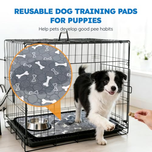 Washable Pee Pads for Dogs, 2 Pack Reusable Puppy Pads, Absorbent & Leakproof Potty Pads for Dogs and Cats, Non-Slip Pet Training Pads for Whelping Playpen Crate, Gray 28"x40" - color: Gray, size: 28"x40"-2 Pack