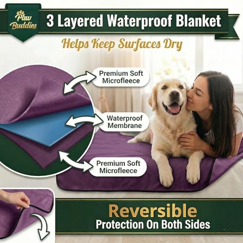 Paw Buddies Premium Waterproof Blanket 80"x90" Velvet-Feel Reversible Throw – Leakproof, Machine Washable Bed & Sofa King Size Protector for Couples, Pets & Travel + Bonus Small Blanket - color: Purple