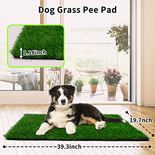 Grass Pad for Dogs 39.3 x 19.7 inches, Strong Absorbency Soft and Real Grass for Pets Potty Training, Easy to Clean Fake Grass for Dog Indoor Outdoor Use (1 Pack) - size: 39.4x19.7 Inch