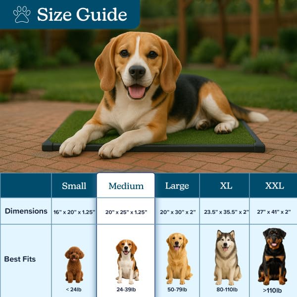 Artificial Grass Puppy Pee Pad for Dogs and Small Pets - 20x25 Inch, Reusable 3-Layer Turf Pads for Dogs with Tray - Indoor and Outdoor Fake Grass Potty Pet Supplies by PETMAKER - size: Medium 3-layer System