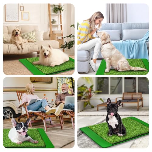 Annexfun Dog Grass Mat with Pee Pad 20×25", Small Dog Litter Box Indoor Artificial Turf Grass Porch Waterproof Patio Potty Tray for Doggie Reusable Washable and Lawn for Replacement Puppy Training PCS