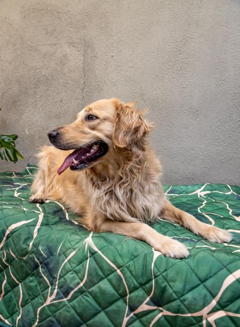 Waterproof Blanket, 60”x70” - Large Couch Cover for Dogs and Pets - Ideal for Picnics, Outdoor, Camping, Beach and More - Large, Washable Protector - color: Green
