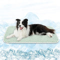 MICROCOSMOS Pet Cooling Mat & Sleeping Pad- Breathable Bubble Surface, EZ Clean. Keep Cooling for Pets, Kids and Adults in Summer.(Green, 48" x 24") - color: Green, size: 48" x 24"