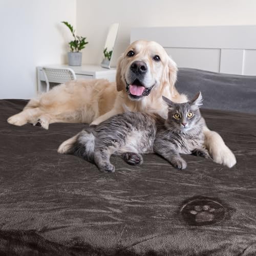 PETMAKER Dog Blanket - 60x80in Reversible Sherpa Blanket - Throw Blankets for Bed, Couch, or Car - Machine Washable Puppy Essentials (Charcoal) - color: Charcoal Gray, size: Large