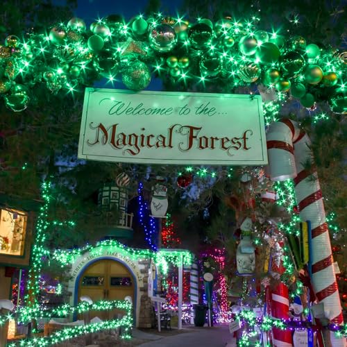suddus Green Christmas Lights, 33ft 100 LED String Lights with Remote, Green Fairy Lights Battery Operated for Christmas, St Patricks Day, Bedroom, Wreath, Patio, Backyard, Garde, Party Decorations - color: Green, size: 100LED