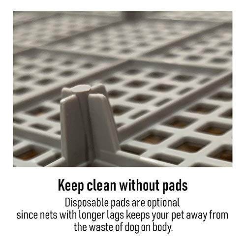 PS KOREA] Indoor Dog Potty Tray - with Protection Wall Every Side for No Leak, Spill, Accident - Keep Paws Dry and Floors Clean (Wine) - color: Wine