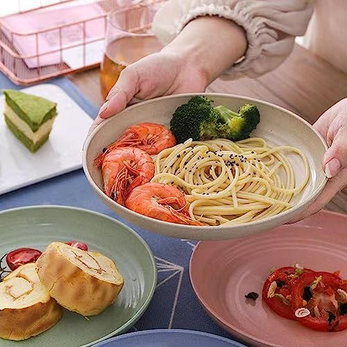 9 Inch Unbreakable Wheat Straw Plates - Reusable Plate Set - Dishwasher & Microwave Safe - Dinner Dishes Lightweight Plates Salad Kids Adult Plate for Kitchen Camping - BPA Free (Plate-9in) - size: Plate-9in