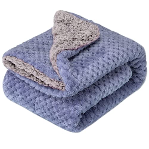Fuzzy Blanket or Fluffy Blanket for Baby Girl or boy, Soft Warm Cozy Coral Fleece Toddler, Infant or Newborn Receiving Blanket for Crib, Stroller, Travel, Outdoor (24" x 32", DG-Pearl Blue) - color: Dg-pearl Blue, size: Blanket (24" x 32")
