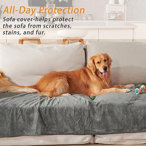 Washable Dog Pee Pads 24x36 2Pack Reusable, Absorb Dog Mats Non-Slip for Puppy Training, Whelping, Potty, Playpen, Crate - size: 24"x36"-2PACK