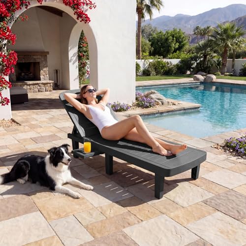 Outdoor Chaise Lounge Set of 4, 5-Position Adjustable Sun Lounge w/Pull-Out Tray, Waterproof PP Lounge Chairs for Outside, Lounge Chairs for Poolside, Patio, Beach, Yard in All Weather,Black - style: Set of 4