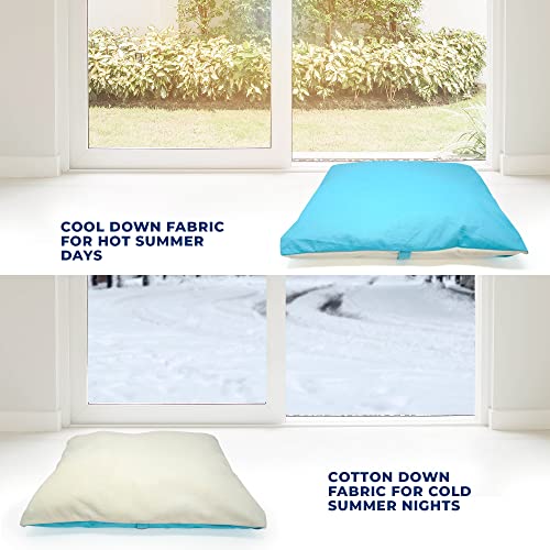 Pawtitas Portable Dog House for Small and Medium Dogs Comes with A Removable Cushion Pet Bed Mat Pillow | Anti-Slip Pad Under The House | Easy to Install, No Tools Or Screws are Required - Teal Comic