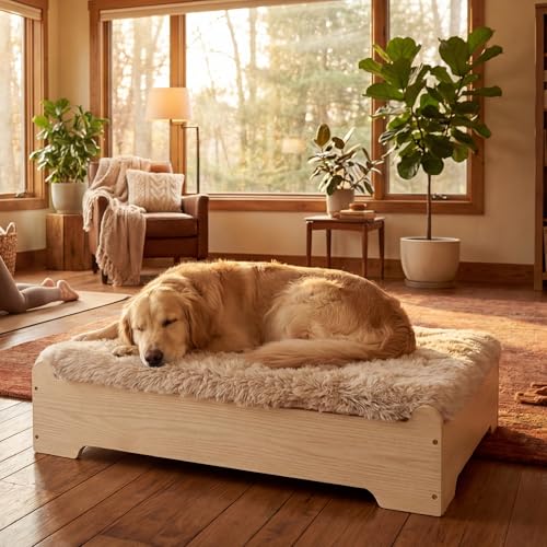 Elevated Wooden Dog Bed with Supportive Cushion & Washable Cover, Sturdy Noise-Free Frame, Furniture-Style Indoor Design, XL Size Dog Bed for Large Dogs, Natural Wood Finish - size: Xl_weight Up to 95 Lbs