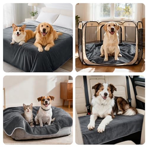 LOOBANI Waterproof Dog Blanket for Bed: Spill-Proof Puppy Blankets for Small Medium Dogs Washable, Reversible Soft Flannel Pet Throw for Couch Sofa Cover, Crate, Travel, Picnic, 30" x 40", Grey - color: Grey, size: 30" x 40"