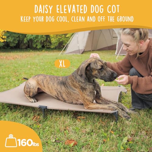 CANINE CANYON Daisy Cot, XL Foldable Elevated Dog Bed, Portable Raised Outdoor Folding Dog Cot, Cooling, Chew Proof, Waterproof, Heavy Duty Up to 160 lbs for Camping/Home, Brown, 49"x 33"x7" - color: Brown, size: X-Large