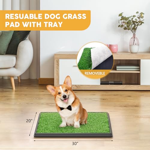 Dog Grass Pad with Tray, 30" x 20" Large Artificial Grass Pad for Dogs, Indoor Washable Dog Litter Box Reusable Puppy Toilet Pet Loo for Puppy Potty Training - size: L 30x20x1.4IN-1 Grass Pad