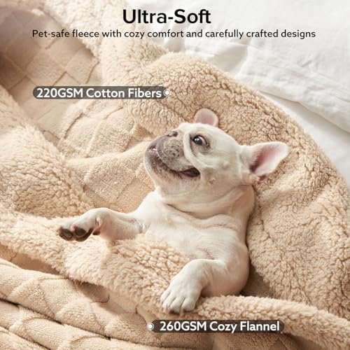 GASUR Waterproof Dog Blankets for Medium Small Dogs, Dog Blanket for Couch Bed, Fleece Pet Blanket for Furniture Sofa Protector, Soft Pet Throw Blankets for Crate Car Outdoor, Washable, 30"x40", Beige - color: Beige, size: M(30"x40")