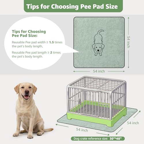 LOOBANI 2 Packs Extra Large Washable Pee Pads for Dogs, Non-Slip Reusable Dog Mat, Waterproof and Leakproof Whelping Pad for Potty Training, Playpen, Crate,Floor and Bed, 54x54in - color: Green Dog Element, size: 54"x54"(Pack of 2)