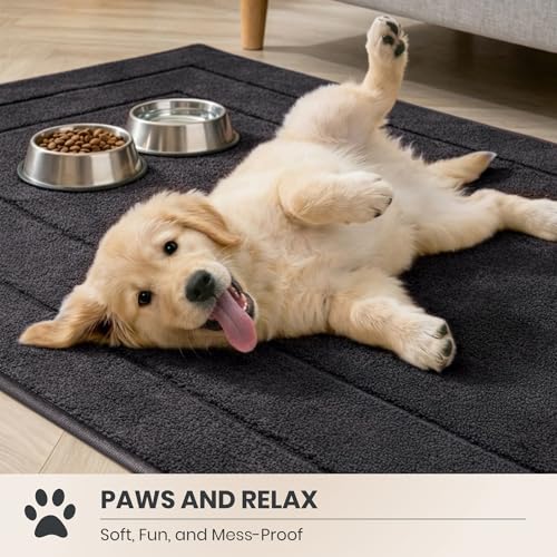 PURRUGS Dirt Trapping Door Mat 24" x 59", Non-Slip/Skid Machine Washable Entryway Rug, Dog Doormat, Super Absorbent Welcome Mat for Muddy Wet Shoes and Paws, Charcoal - color: Charcoal, size: 24" X 59"