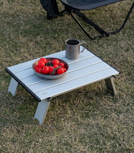 iClimb Ultralight Compact Mini Beach Picnic Folding Table with Carry Bag - color: Silver, size: Large