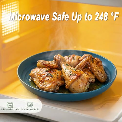 Wheat Straw Plates Set for 8, Unbreakable & Lightweight Dinner Plates 9 Inch, Plastic Plates Reusable, Microwave and Dishwasher Safe Kitchen Plate for Outdoor, Camping, Picnic- Multi - color: Multicolor, size: 9 inch